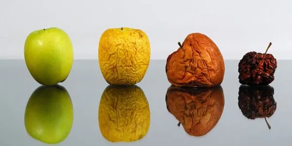 alimentos-frescos-1